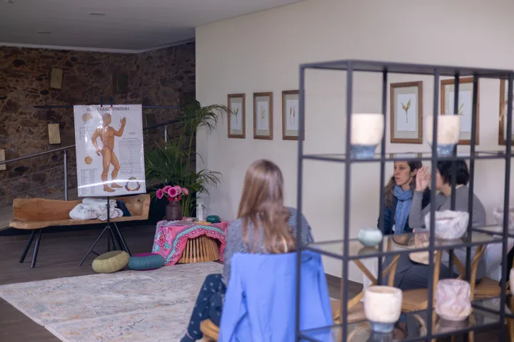 Nascer e Crescer em Amor, edição 2026